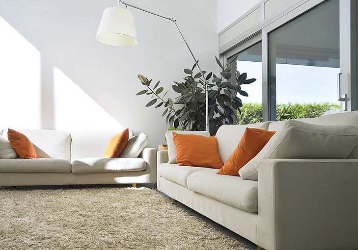 Carpet and Upholstery Cleaning like this couch, loveseat and rug in Malibu, CA